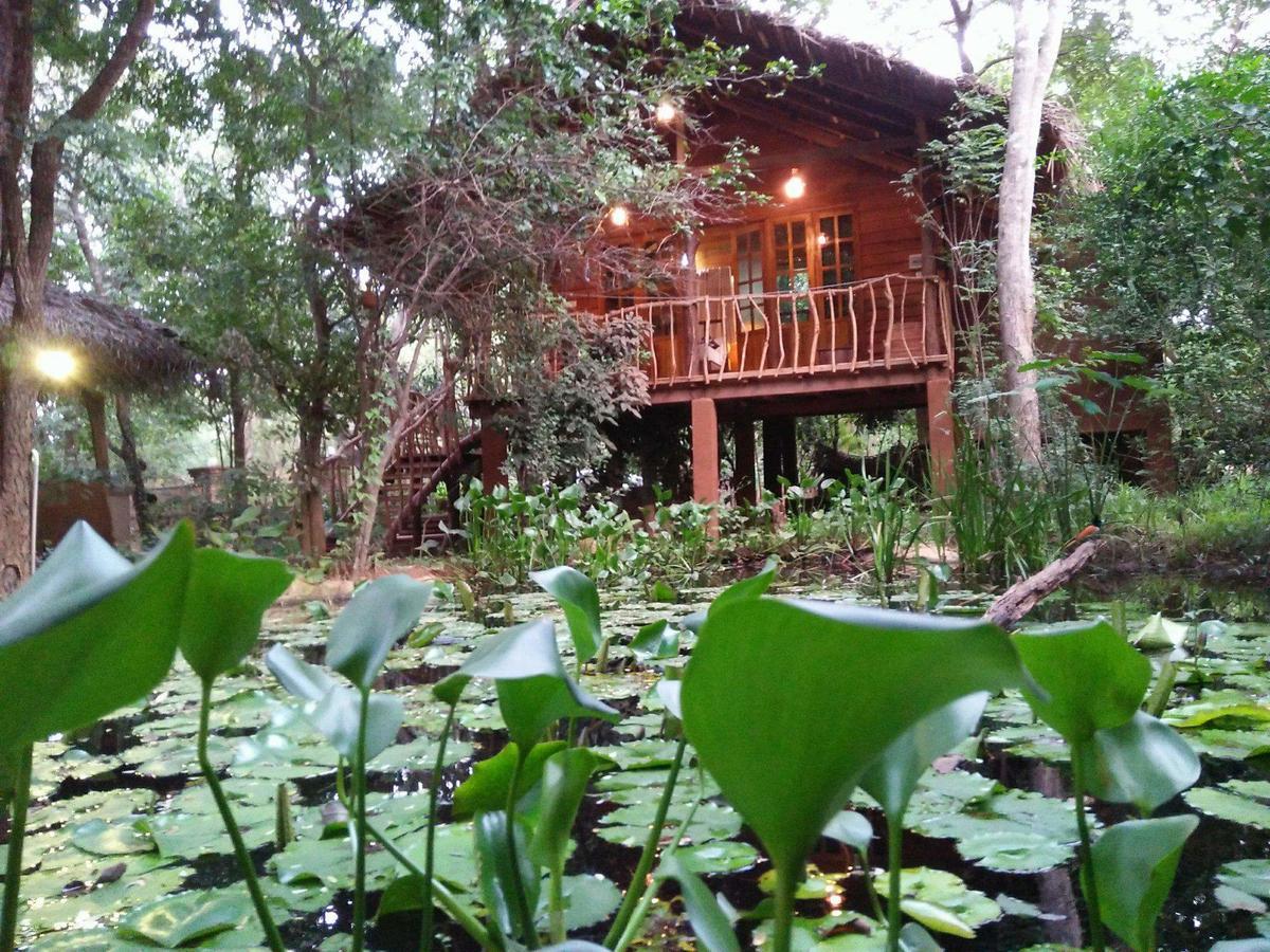 Habarana Tree House Mutu Village Экстерьер фото